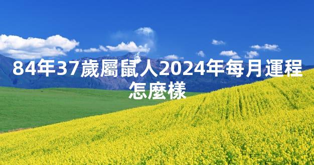 84年37歲屬鼠人2024年每月運程怎麼樣