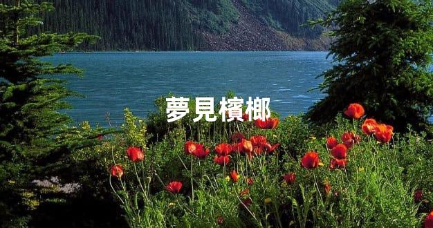 夢見檳榔