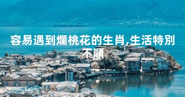 容易遇到爛桃花的生肖,生活特別不順