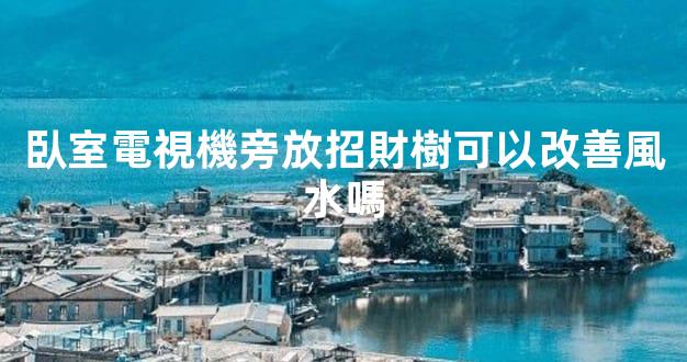 臥室電視機旁放招財樹可以改善風水嗎