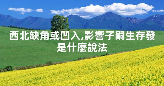西北缺角或凹入,影響子嗣生存發是什麼說法