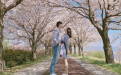 三招教你婚姻挽回三觀不合的挽救辦法