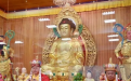 <b>分享一個墮胎的孩子再來投胎真實案例</b>