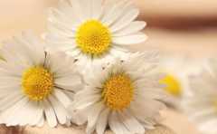 十句話教你怎麼做人，一定要記住  