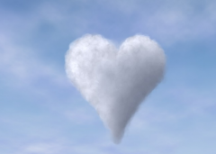 動物的社交行為,你有了解過嗎  