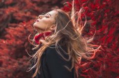 論理性與感性的關係，對立統一的矛盾關係，如何恰當運用是關鍵