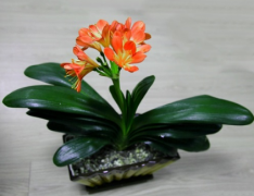 淘寶回心轉意符靈為什麼不靈的簡單介紹