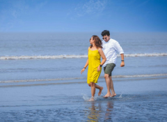 形容鳥受到驚嚇的成語 鳥兒被驚嚇後怎麼描寫