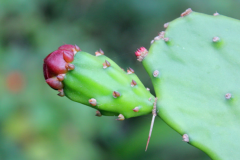 好的人際關係的重要性 你如何看待人際關係的重要性