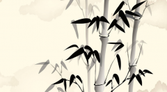 風水小說排行榜完本 比較精彩的風水小說推薦