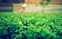 婚姻線看左手還是右手 婚姻線看左手還是右手?