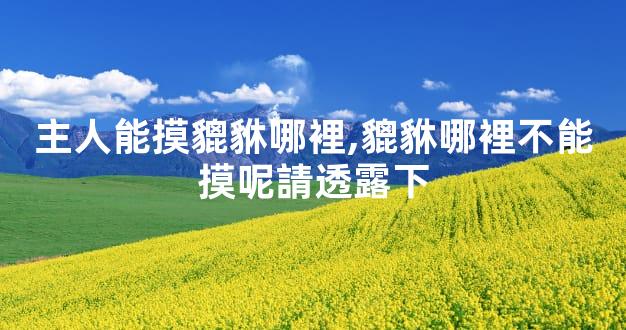 主人能摸貔貅哪裡,貔貅哪裡不能摸呢請透露下