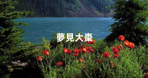 夢見大棗