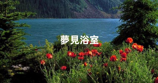 夢見浴室