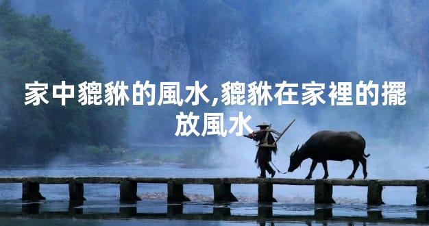 家中貔貅的風水,貔貅在家裡的擺放風水