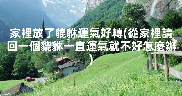 家裡放了貔貅運氣好轉(從家裡請回一個貔貅一直運氣就不好怎麼辦)