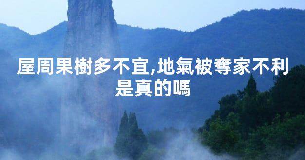 屋周果樹多不宜,地氣被奪家不利是真的嗎