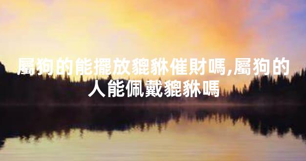 屬狗的能擺放貔貅催財嗎,屬狗的人能佩戴貔貅嗎