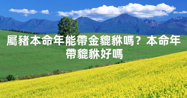 屬豬本命年能帶金貔貅嗎？本命年帶貔貅好嗎