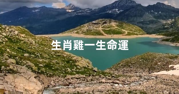 生肖雞一生命運