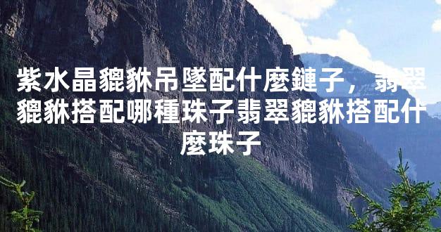 紫水晶貔貅吊墜配什麼鏈子，翡翠貔貅搭配哪種珠子翡翠貔貅搭