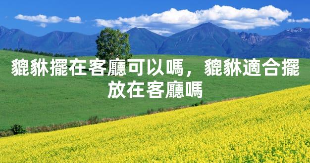 貔貅擺在客廳可以嗎，貔貅適合擺放在客廳嗎