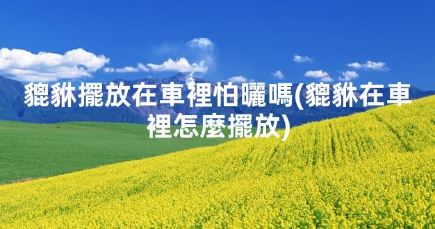 貔貅擺放在車裡怕曬嗎(貔貅在車裡怎麼擺放)