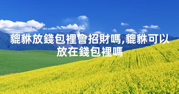 貔貅放錢包裡會招財嗎,貔貅可以放在錢包裡嗎