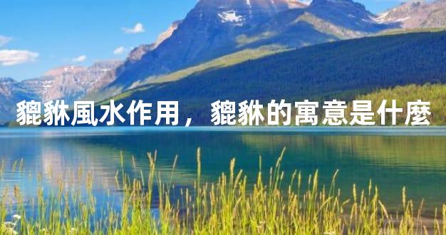 貔貅風水作用，貔貅的寓意是什麼