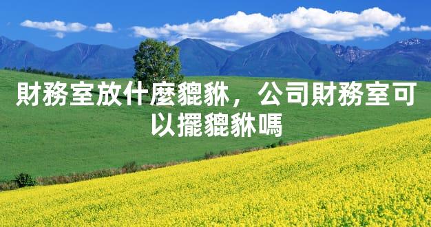 財務室放什麼貔貅，公司財務室可以擺貔貅嗎