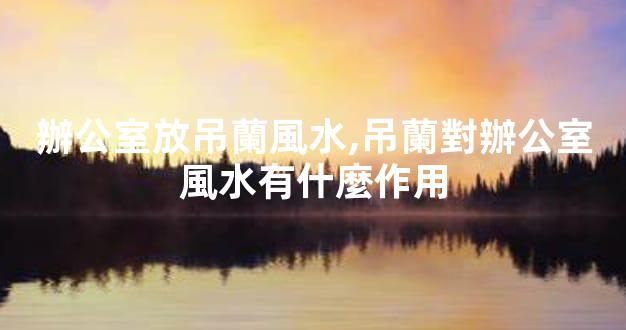 辦公室放吊蘭風水,吊蘭對辦公室風水有什麼作用