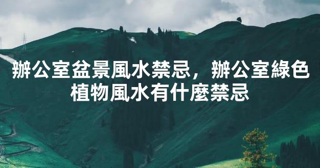 辦公室盆景風水禁忌，辦公室綠色植物風水有什麼禁忌