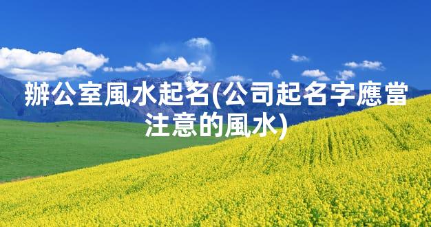 辦公室風水起名(公司起名字應當注意的風水)