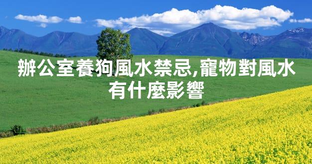 辦公室養狗風水禁忌,寵物對風水有什麼影響