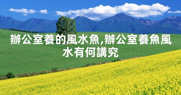 辦公室養的風水魚,辦公室養魚風水有何講究