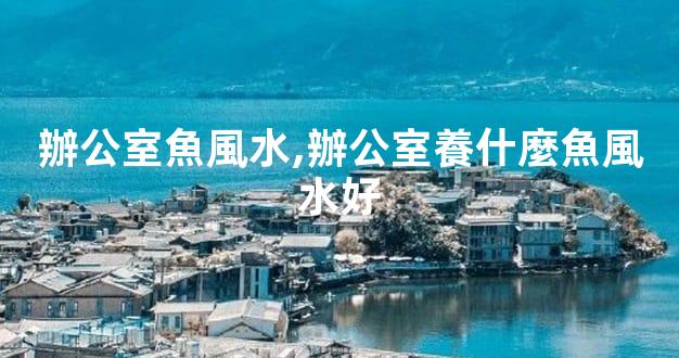 辦公室魚風水,辦公室養什麼魚風水好