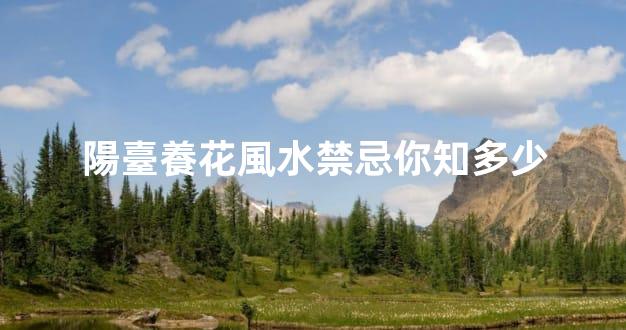 陽臺養花風水禁忌你知多少