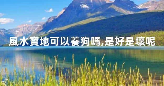 風水寶地可以養狗嗎,是好是壞呢