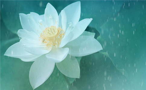 塔羅占蔔妳明年元旦前能否找到心愛的TA