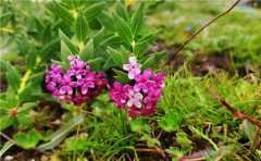 我曾去地獄親見閻羅王，本文一切皆為親歷，絕無半點虛構