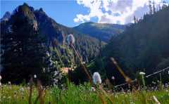 抑郁癥父親半夜從五樓跳了下去，這場景竟和六十三年前的一幕極其相似