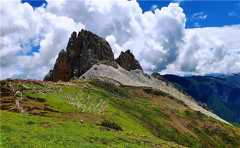 太神了！這位高僧放生時，到場的神秘生靈，竟是……