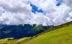 高僧說燒錢沒用，可自己燒起來卻特別認真