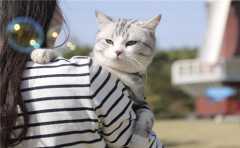 細思極恐：惡霸鄰居家的瘋癲妻子，動作居然和屋後的它一模一樣