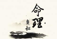 關於回心轉意符有用的資訊