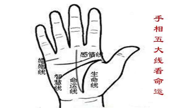 手相的各種紋路代表的是什麼 手相的各種紋路代表的是什麼意思