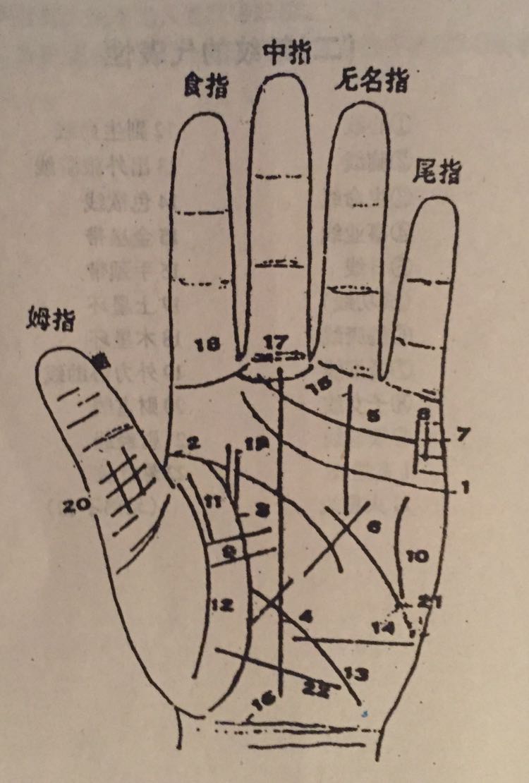 算命手相解析 算命看手相口诀